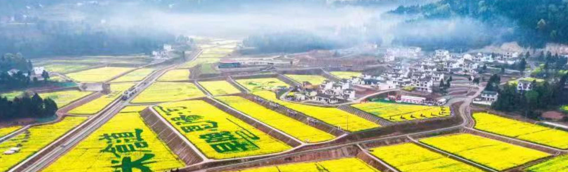 巴中(zhōng)錦彙